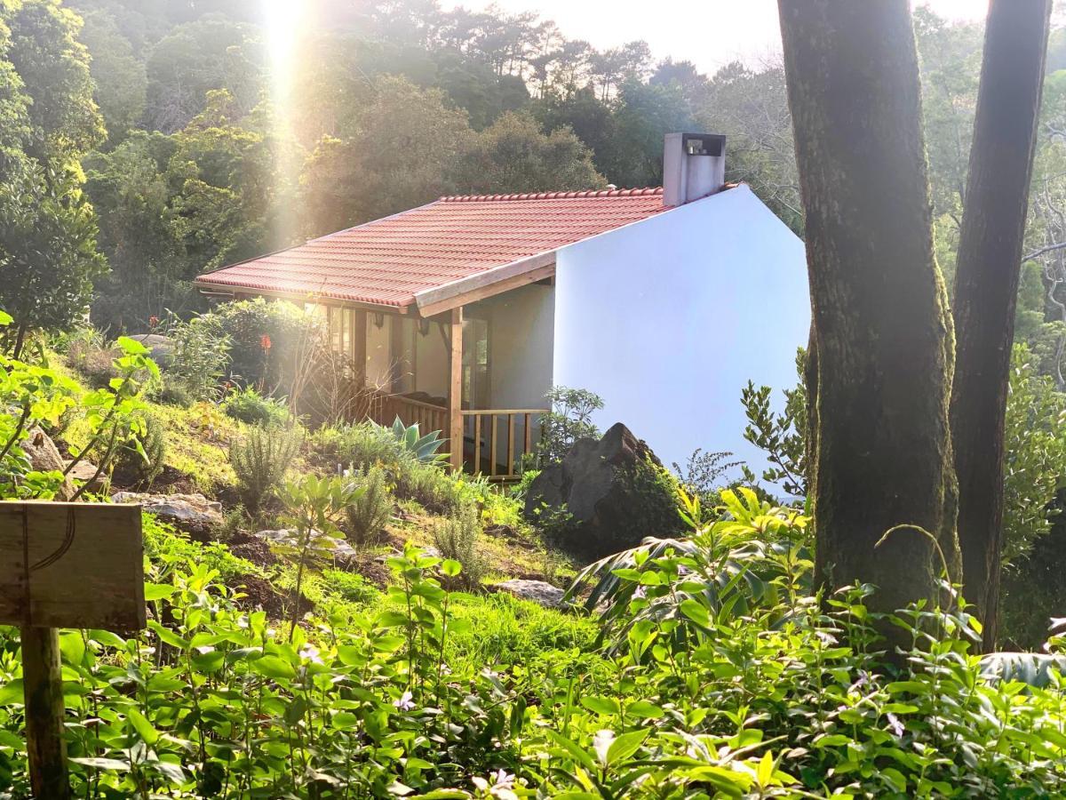 Eighteen21 Houses - Secluded Charm Cottage In Quinta Velha Sintra Zewnętrze zdjęcie